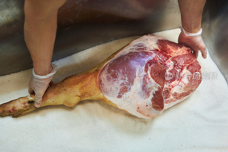男人用手把肉放进盐里煮猪肉火腿。肉类生产。