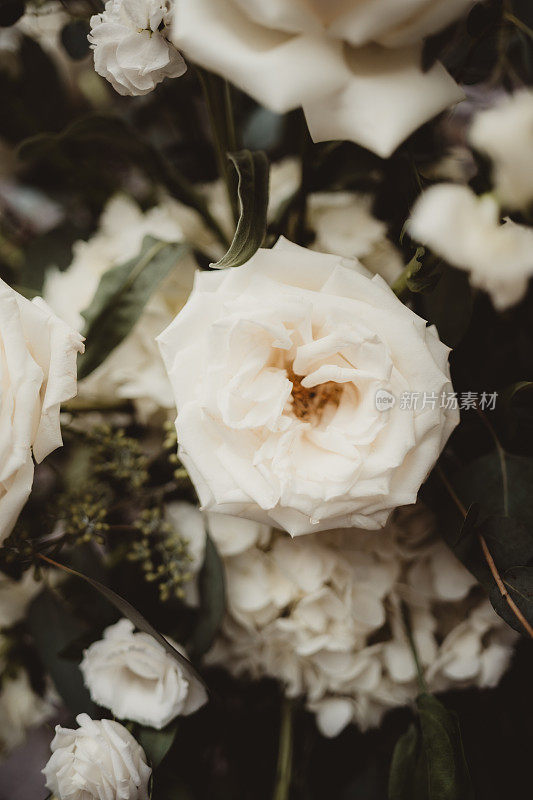 白玫瑰是婚礼和招待会的中心装饰