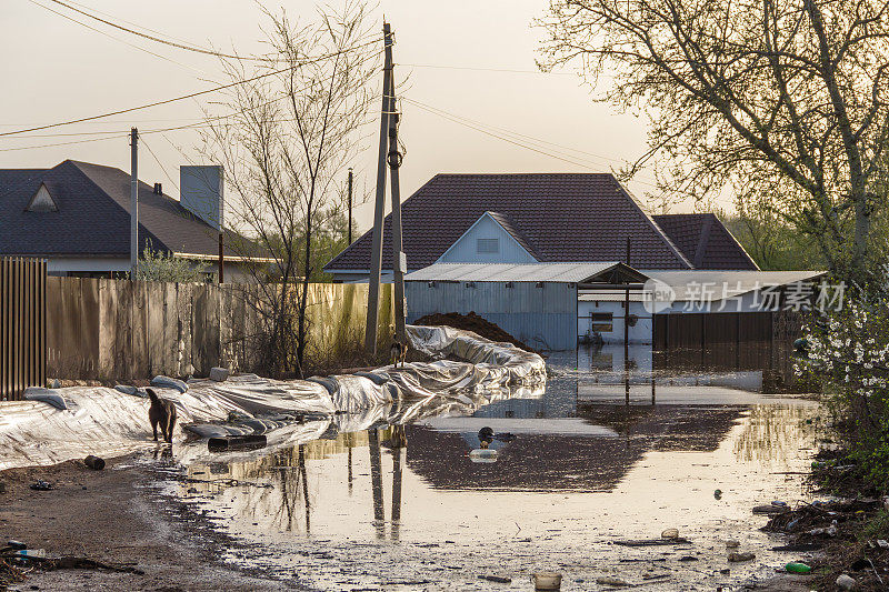 哈萨克斯坦发生洪灾。在乡间别墅合作社的袋子里加强。河水溢出了堤岸。洪水淹没了居民区的街道。哈萨克斯坦的大灾难。