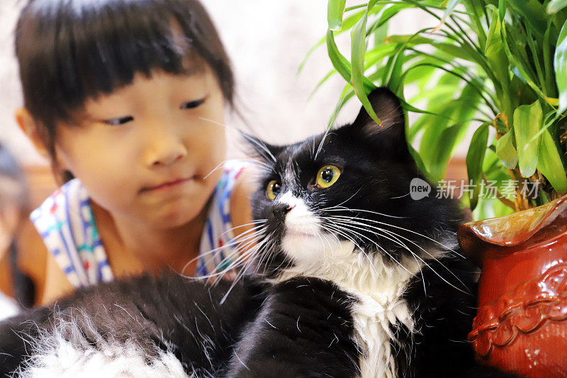 一个亚洲女孩在客厅里和一只小黑猫玩耍