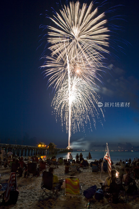 烟花在海滩上白色的金色爆发