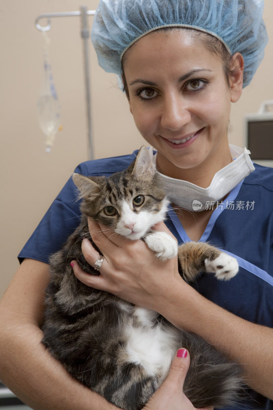 兽医与猫成功手术后