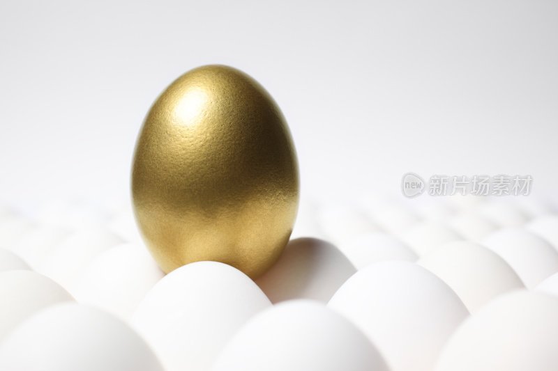 金蛋从一群普通蛋中脱颖而出