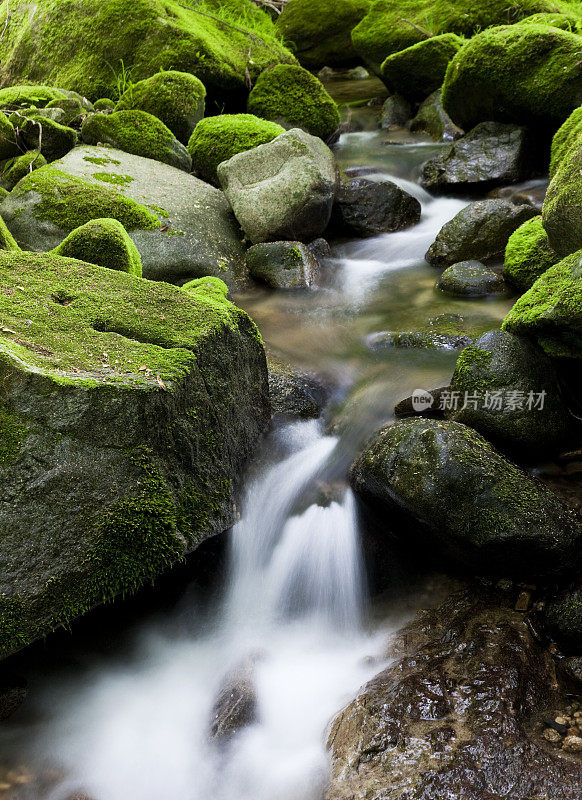 高山流水