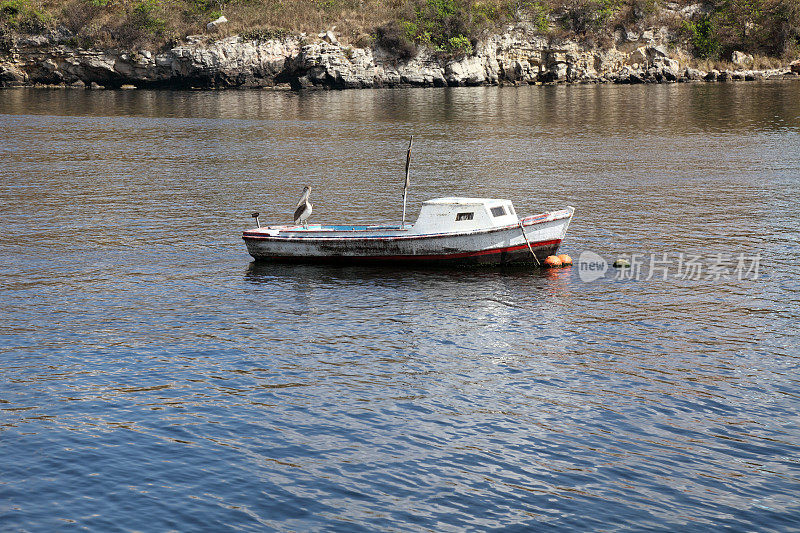 一只鹈鹕在驳船上休息