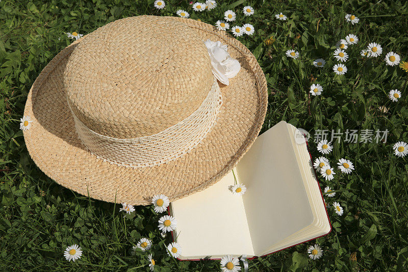 雏菊里放着空白的笔记本和草帽