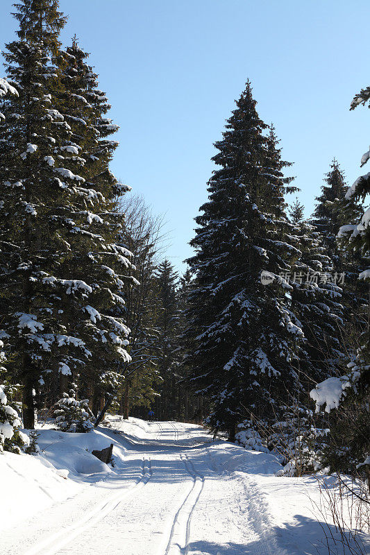 在黑森林的冬季景观与越野轨道