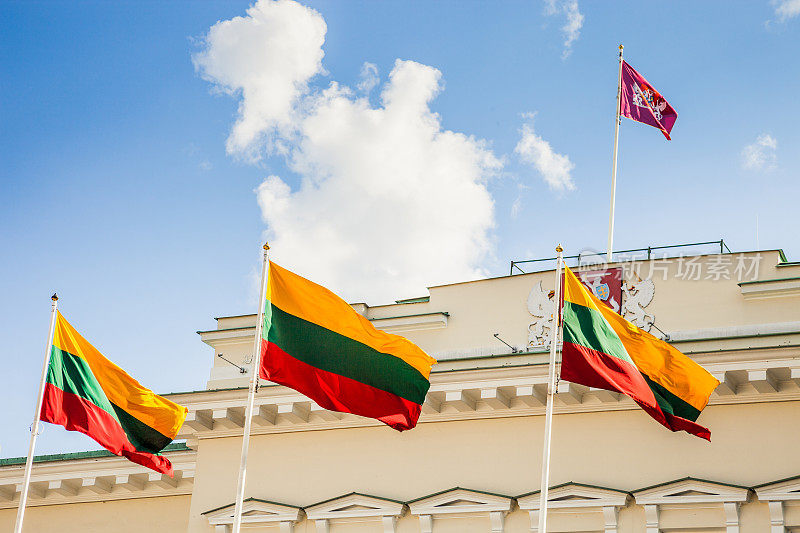 立陶宛国旗上的政府大楼