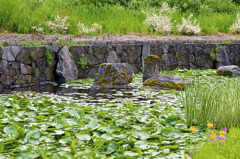 岩石墙池塘与巨石水百合Pad俄勒冈花园