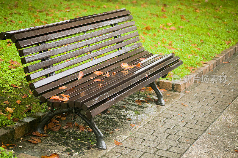秋天的时候，公园的长椅上满是树叶。