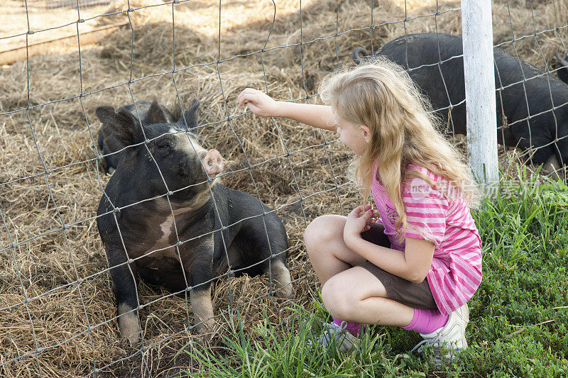 女孩宠着一头猪