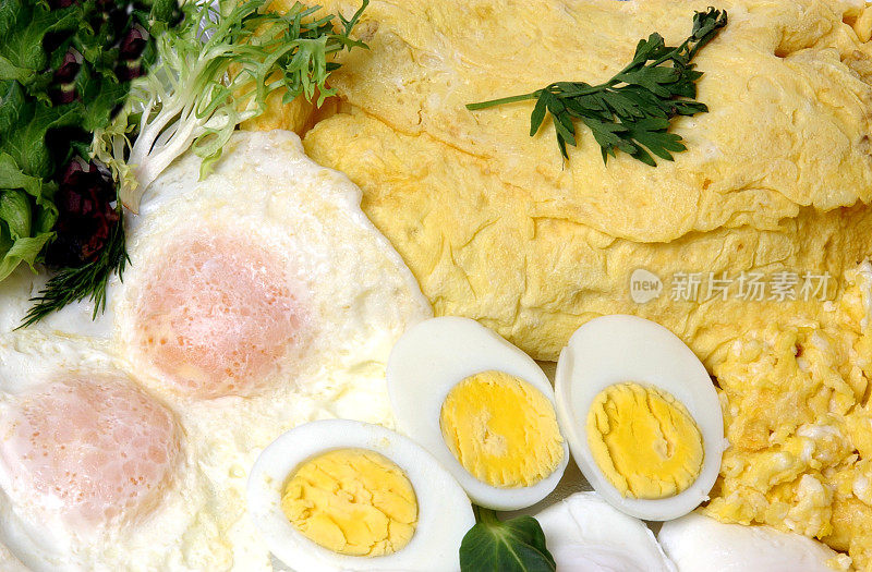 Egg-cellent鸡蛋
