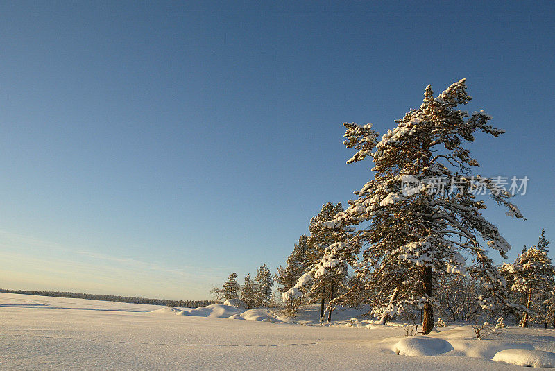 阳光雪景芬兰拉普兰