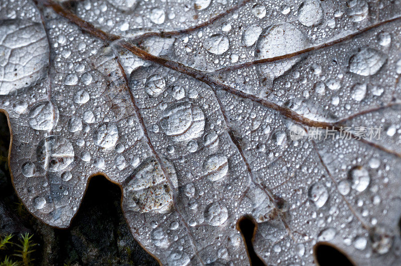 雨滴