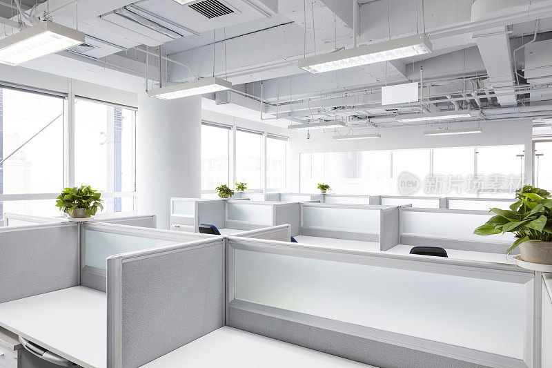 白色的带植物的办公室隔间设计