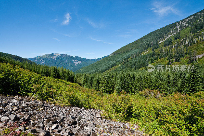 这种食物山