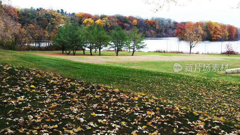 秋天的树叶，树木和池塘，柯林斯公园，斯科舍，纽约