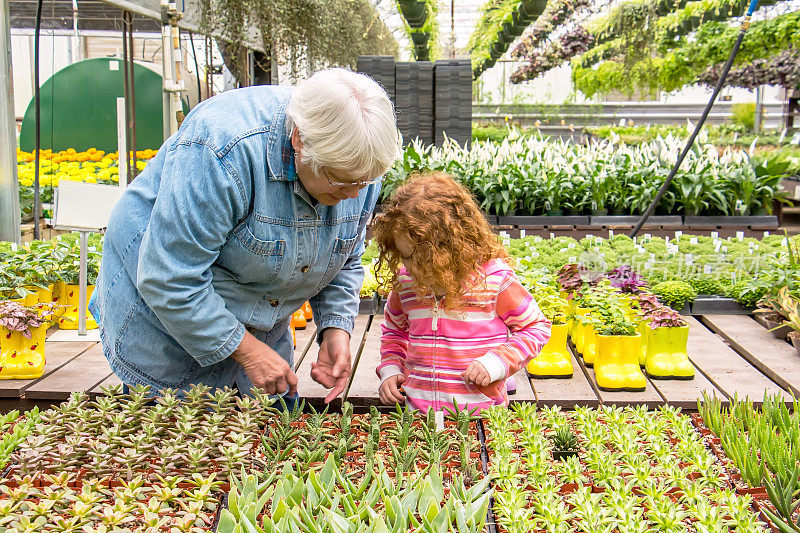 奶奶和孙女在温室里挑选植物