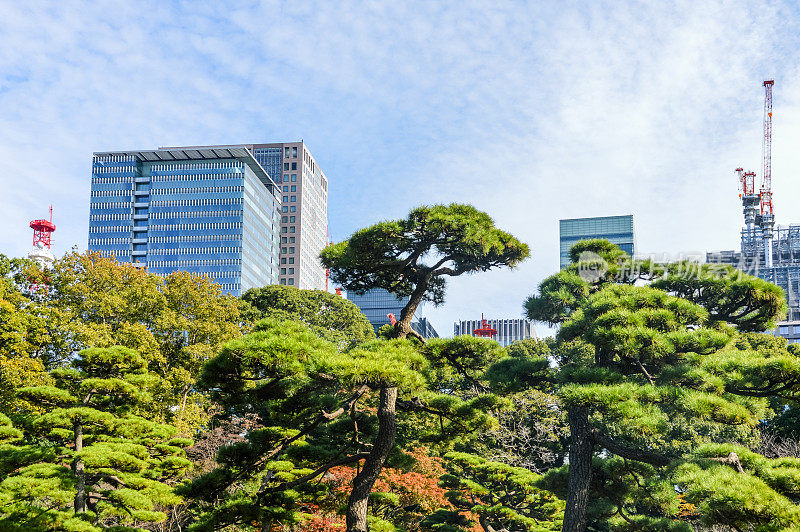 办公建筑和绿色公园空间——日本东京