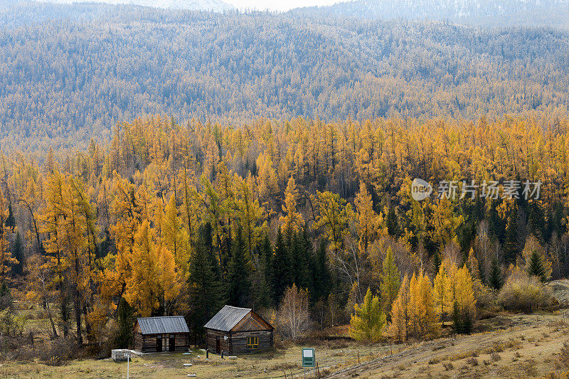 中国新疆喀纳斯山景城