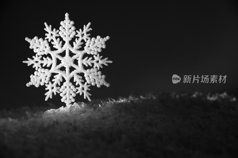 雪花黑白相间