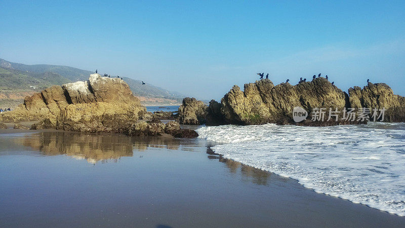 岩石上的鸟，海浪，里奥卡里略海滩，马里布，加利福尼亚