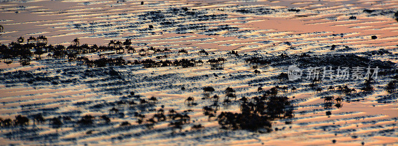 蟹在甲米的诺帕拉特塔拉海滩退潮时行走
