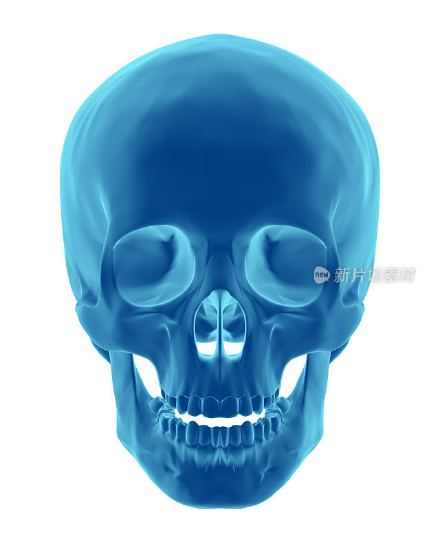 3D渲染就像x射线的人类头骨