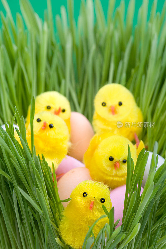 复活节彩蛋和草地上的小鸡