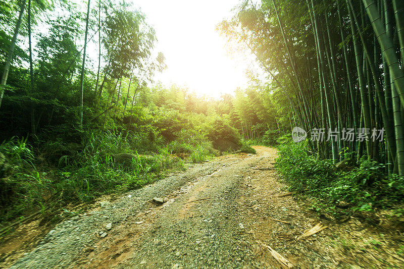 石岩泥泞的道路为汽车商业