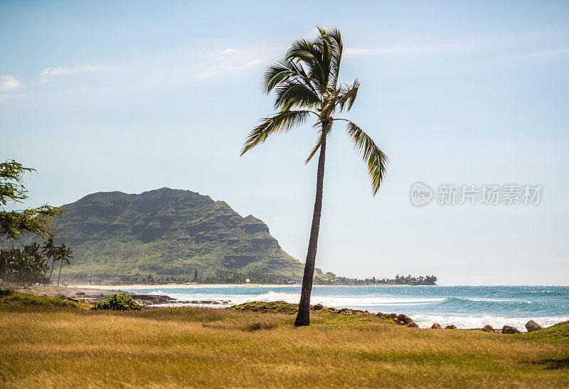 美国夏威夷瓦胡岛的完美海滩