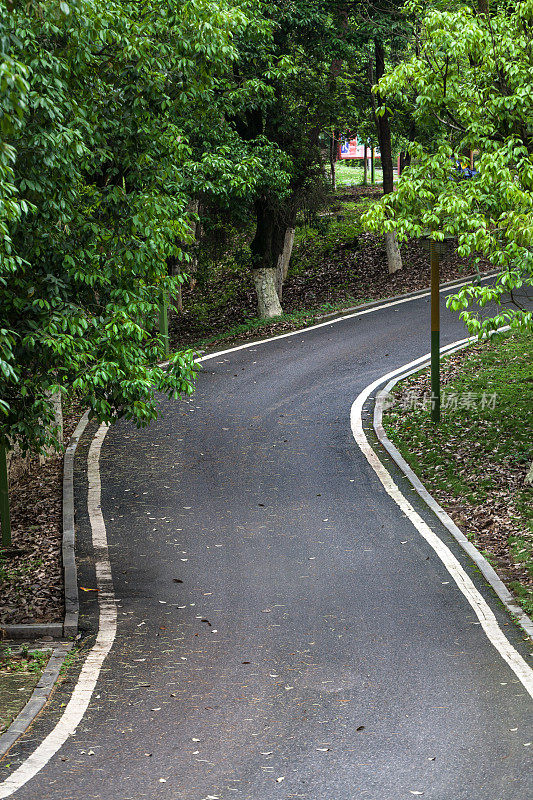 柏油路和树木