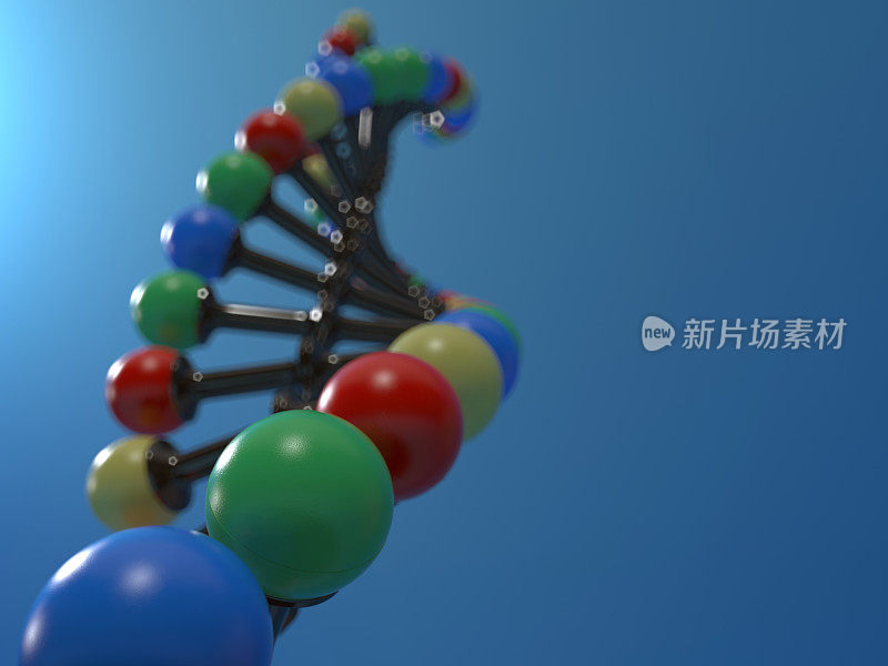DNA的概念模型。