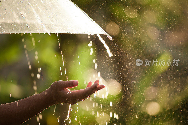 女人手拿伞在雨中