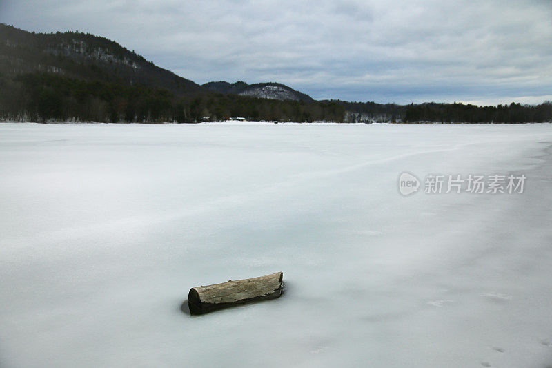 原木，冬季冰雪，莫罗湖州立公园，纽约