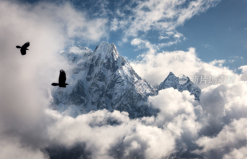 在尼泊尔阳光明媚的日子里，两只飞翔的鸟在雄伟的马纳斯鲁山的云雪峰上飞翔。景观有美丽的高岩石和蓝色多云的天空。自然背景。童话场景