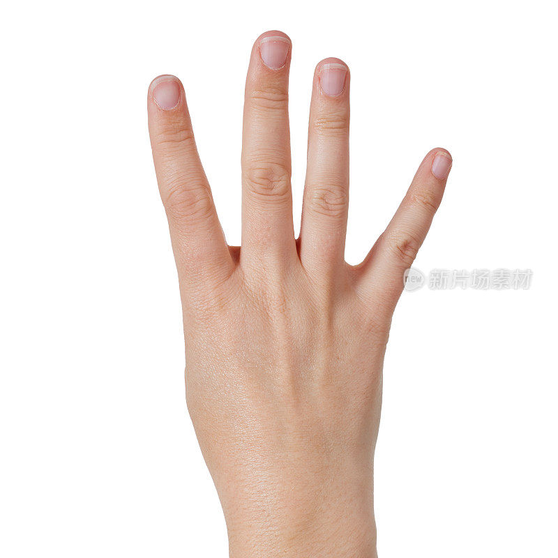 特写后视图的四个举起的手指在白色，计数“四”