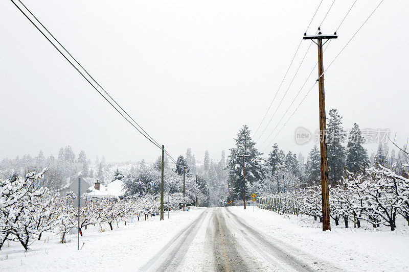 奥肯那根谷冬雪苹果树园