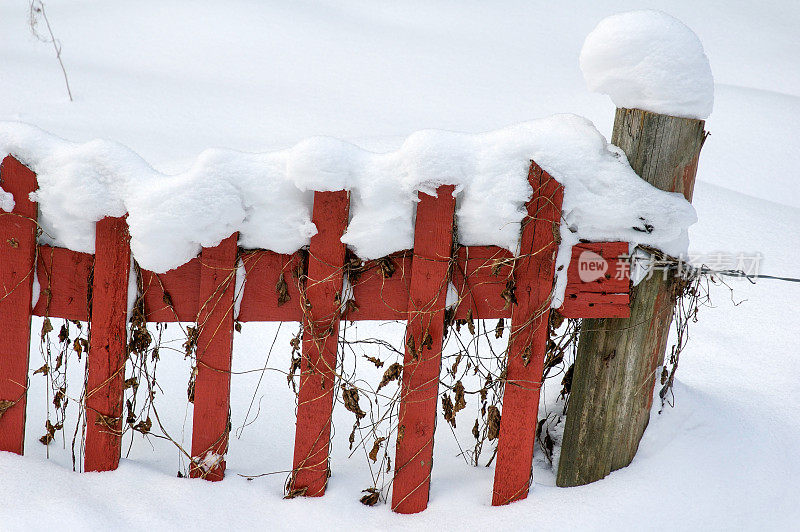 雪地里的尖桩栅栏