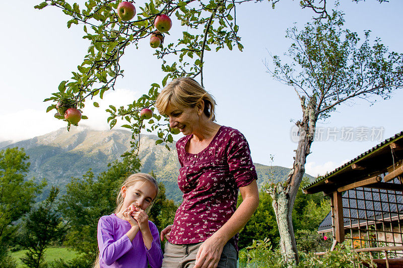 母亲和女儿喜欢在山上的交响乐团捡苹果