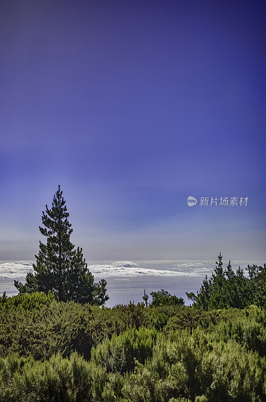 全景山景