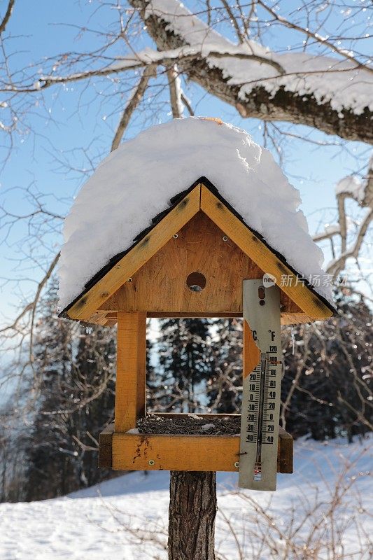 冬天有温度计的鸟笼