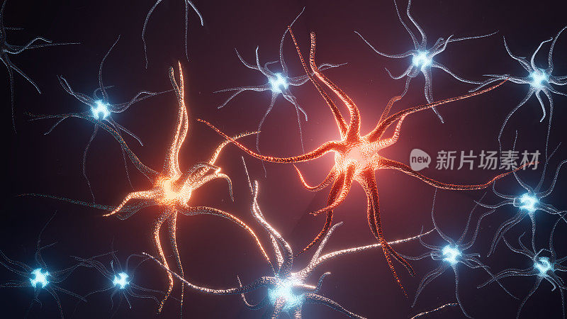 神经元系统