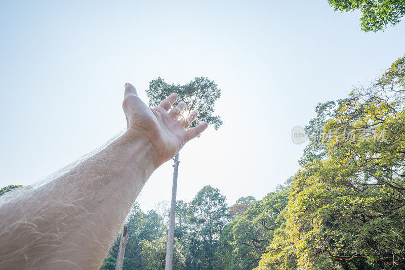 Pov的人的手伸向太阳，能源人环境旅游概念暹粒，亚洲。