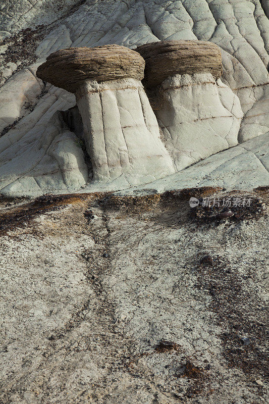 加拿大亚伯达省加拿大荒地的岩石hoodoo
