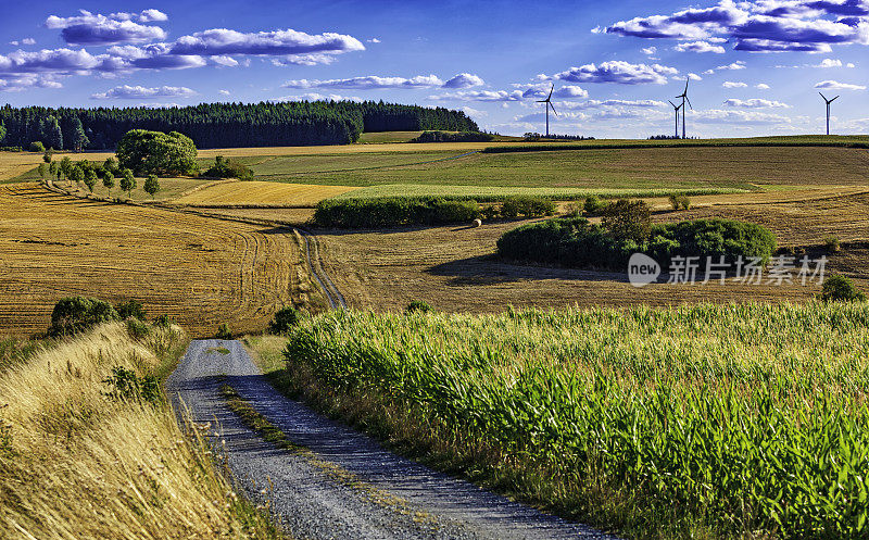 乡村景观中的乡村道路(HDRi)