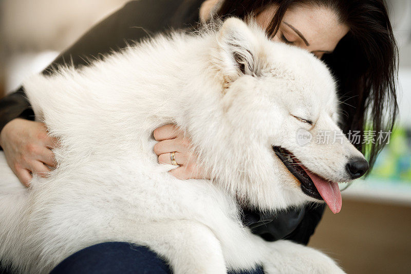 女人拥抱她的狗