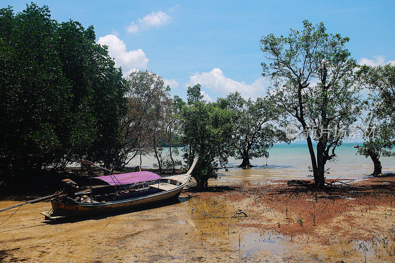 泰国甲米省著名的拉伊海滩旁的悬崖和树木