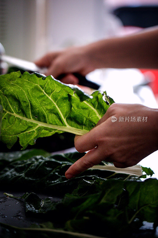 曼戈尔德叶子(甜菜)准备烹饪，特写