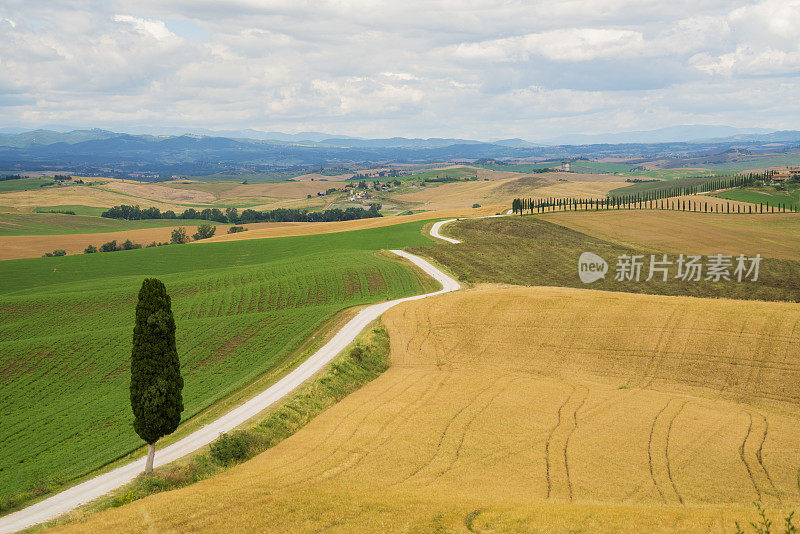 托斯卡纳柏树的道路和托斯卡纳景观的背景，意大利